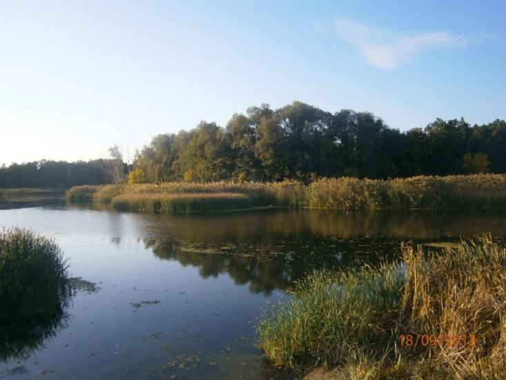 Айдар-Миколаївка з panoramio.com - Айдар-Николаевка