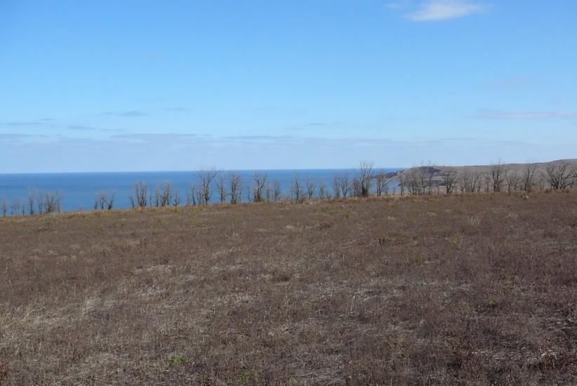 Войкове з panoramio.com - Войкове