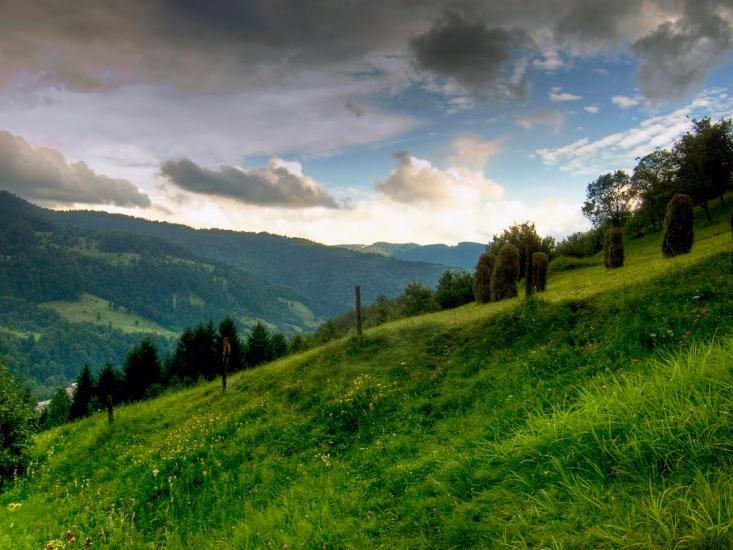 Кваси з panoramio.com - Квасы