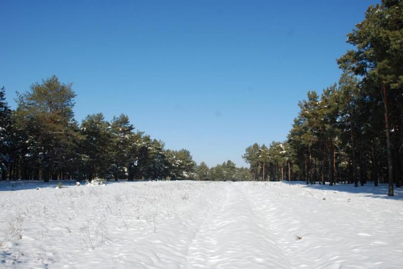 Миколаїв з panoramio.com (ч.4) - Николаев