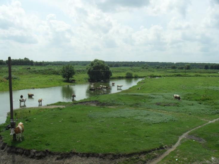 Турбів з panoramio.com - Турбів