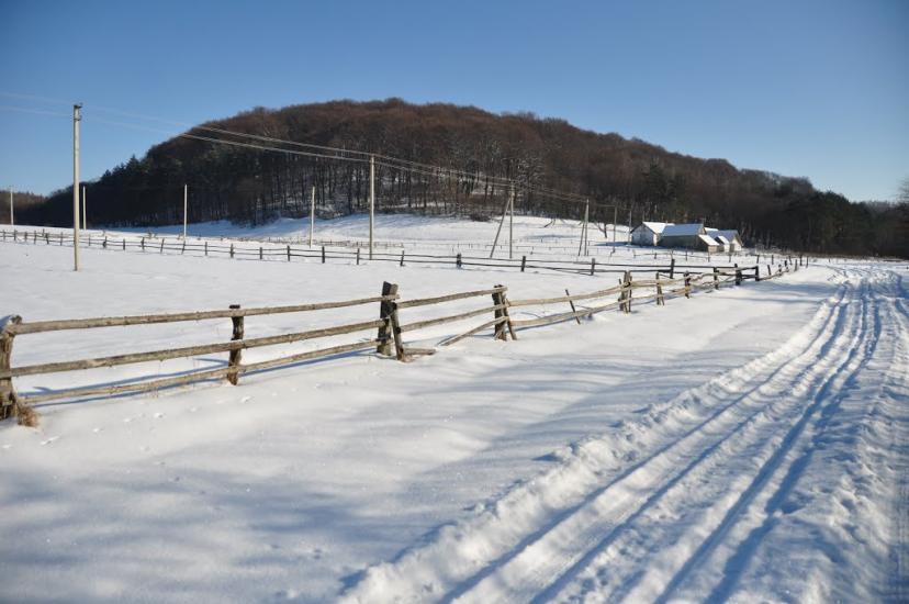 Стоки з panoramio.com - Стоки