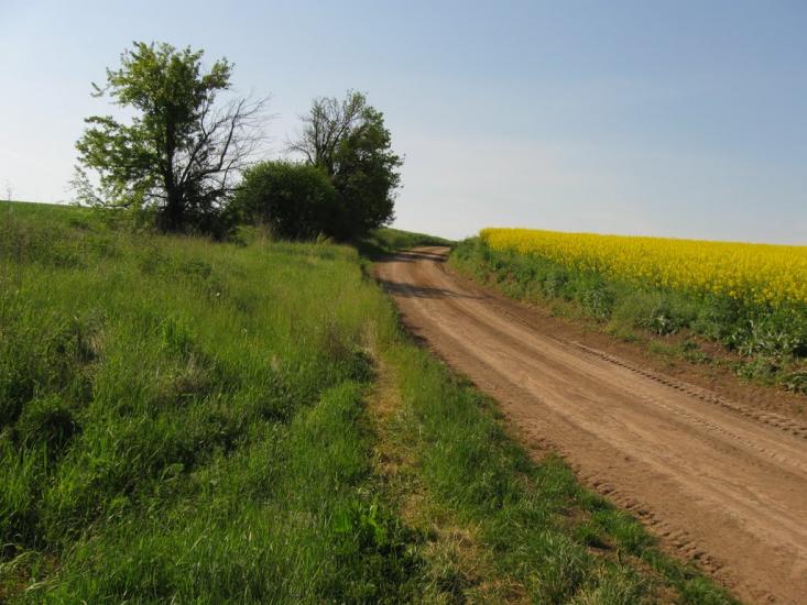 Побірка з panoramio.com - Поборка