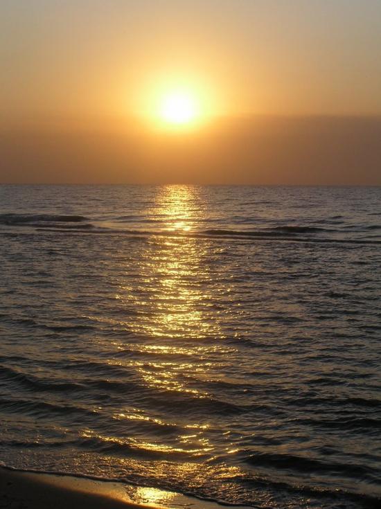 Мелекине з panoramio.com - Мелекино