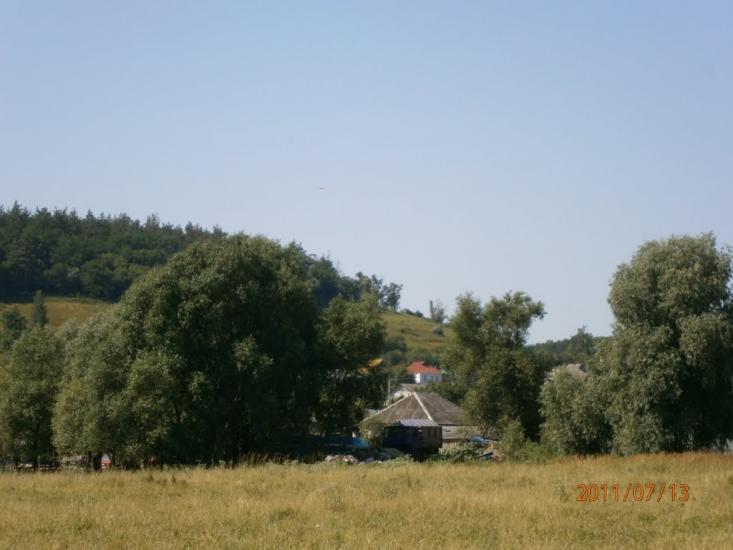 Гусина Поляна з panoramio.com - Гусина Поляна
