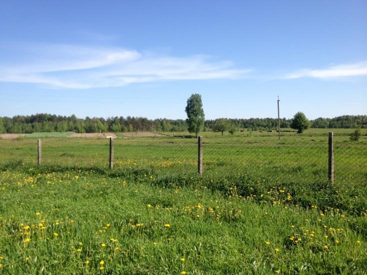 Корощине з panoramio.com - Корощине