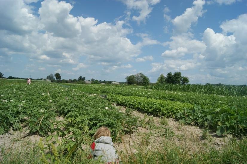 Велика Любаша з panoramio.com - Велика Любаша