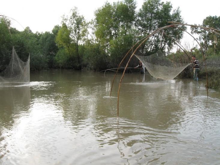 Тарасівці з panoramio.com - Тарасівці