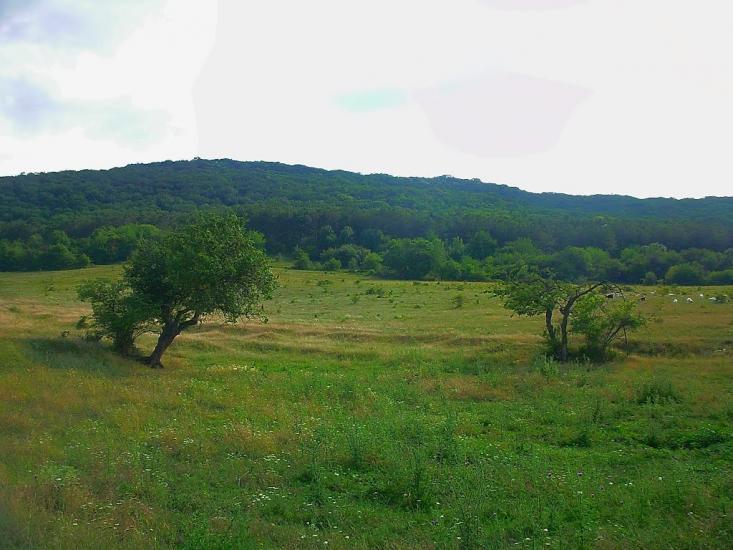 Краснолісся з panoramio.com - Краснолісся