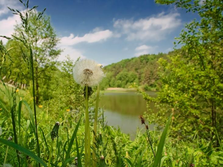 Дубровиця з panoramio.com - Дубровиця