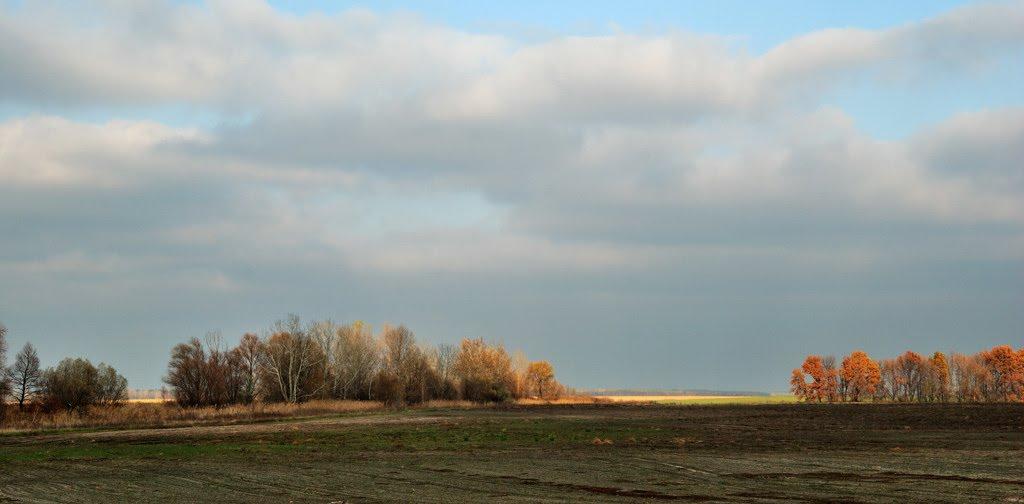 Маньківка з panoramio.com - Маньківка