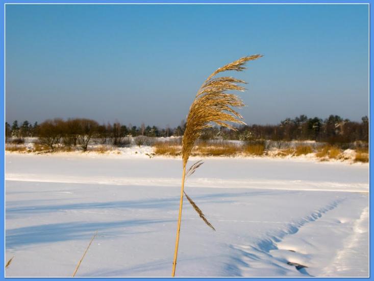 Тепениця з panoramio.com - Тепениця