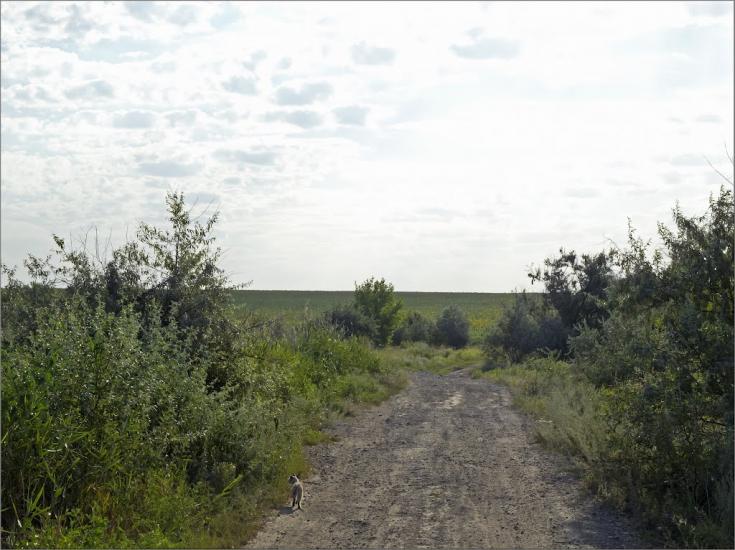 Златоустівка з panoramio.com - Златоустовка