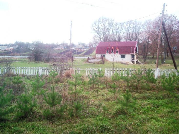 Рогізне з panoramio.com - Рогізне