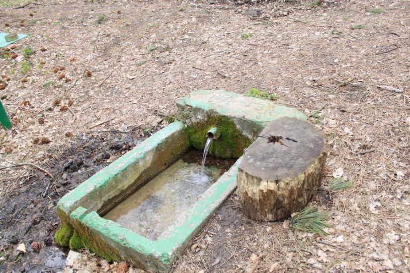 Опитне з panoramio.com - Опитне