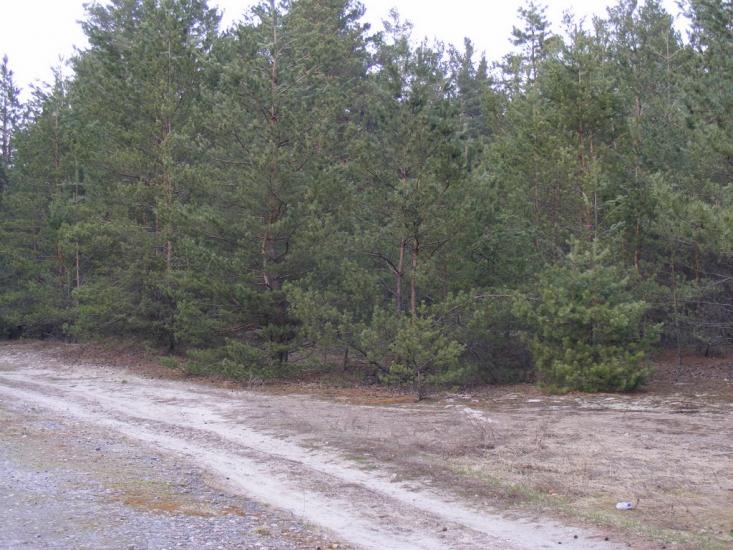 Кузьки з panoramio.com - Кузьки