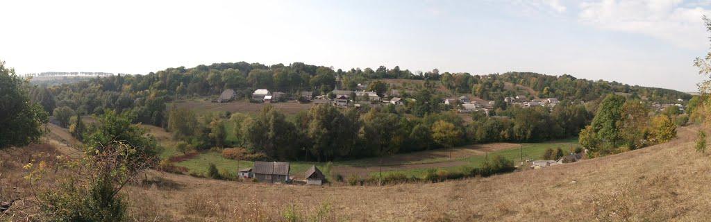 Блищанівка з panoramio.com - Блещановка
