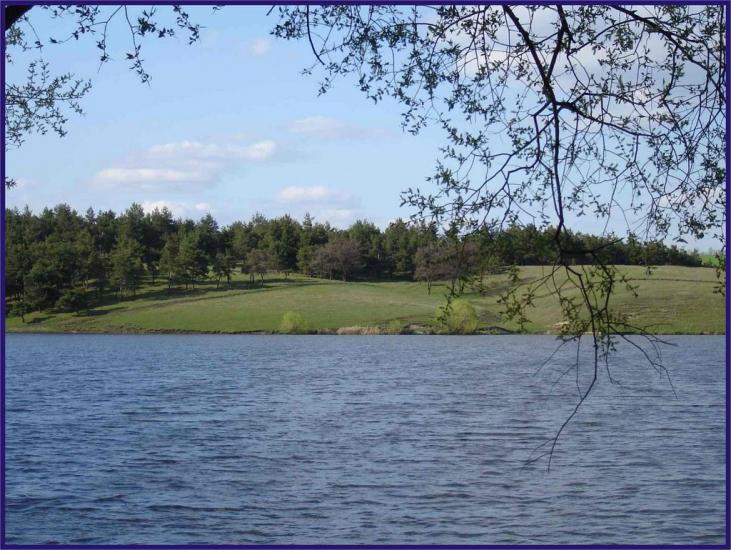 Стрілеча з panoramio.com - Стрілеча