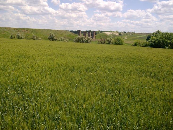 Шевченківка з panoramio.com - Шевченківка