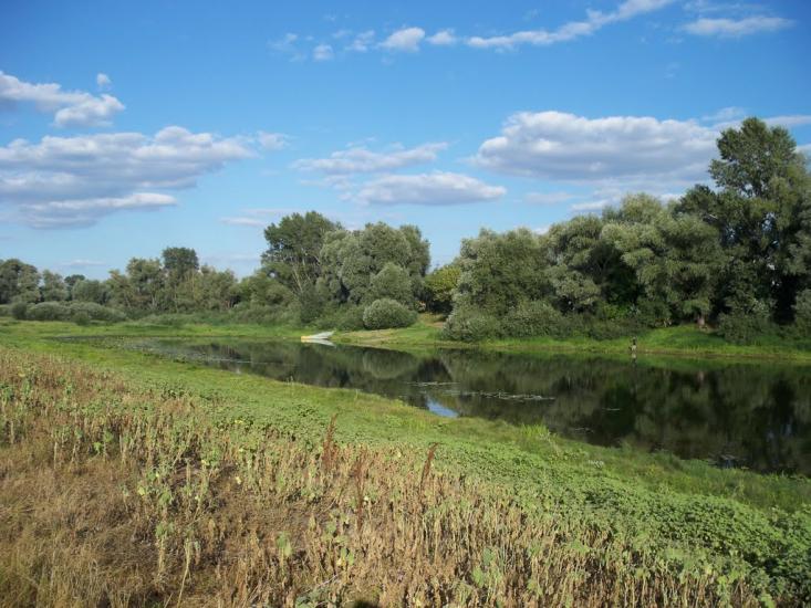 Пухівка з panoramio.com - Пуховка