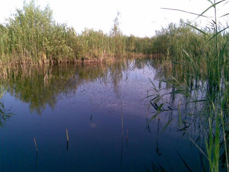Римачі з panoramio.com - Римачі