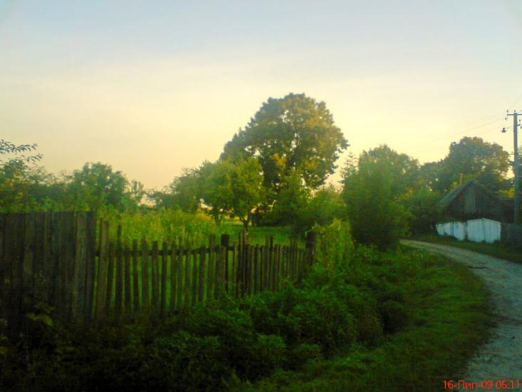 Виров з panoramio.com - Виров