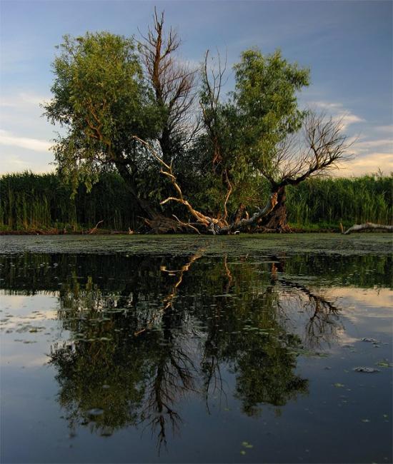 Яськи з panoramio.com - Яськи