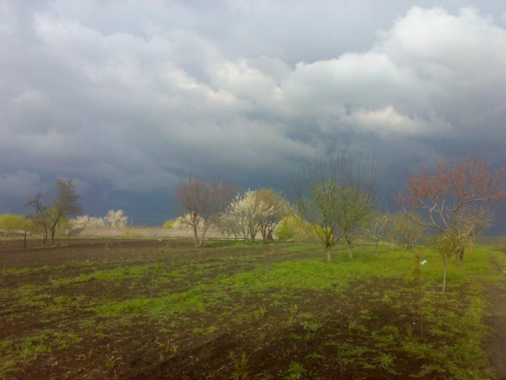 Ширяєве з panoramio.com - Ширяево