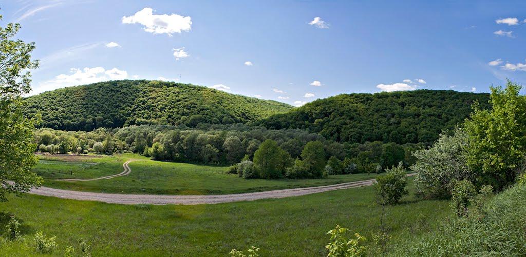 Суржинці з panoramio.com - Суржинці