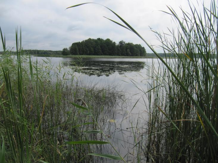 Мельники з panoramio.com - Мельники