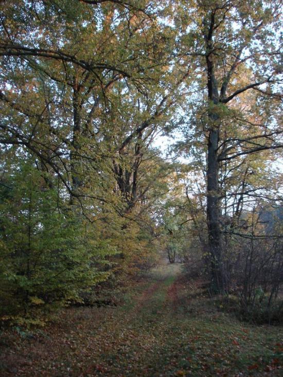 Хрипськ з panoramio.com - Хрипск