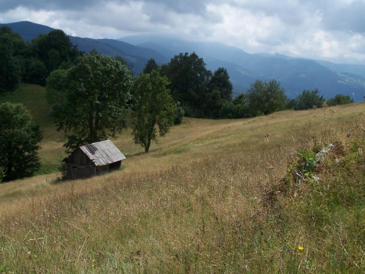 Кобилецька Поляна з panoramio.com - Кобылецкая Поляна