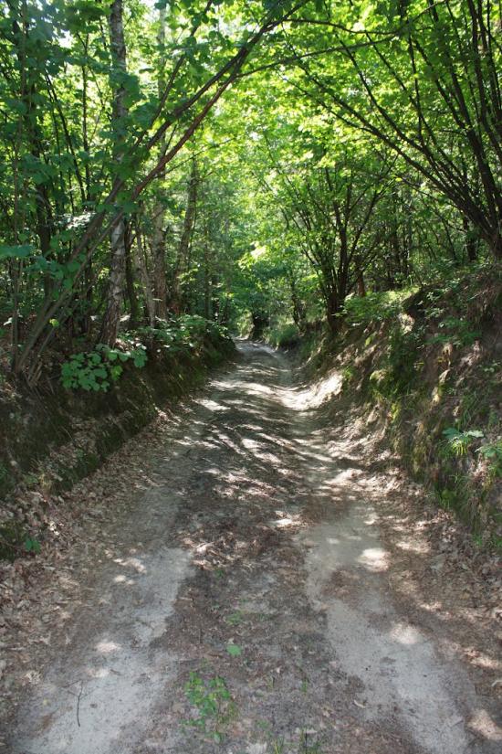 Хоцьки з panoramio.com - Хоцки