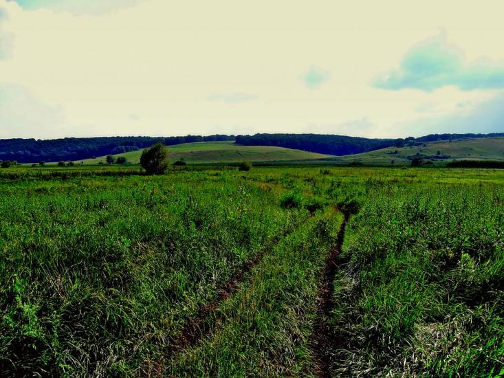 Стрілеча з panoramio.com - Стрілеча