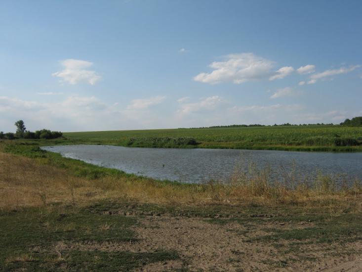 Олексіївка з panoramio.com - Олексіївка