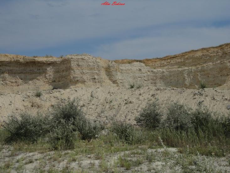 Жовтокам'янка з panoramio.com - Жовтокам'янка