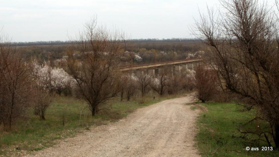 Доломітне з panoramio.com - Доломітне
