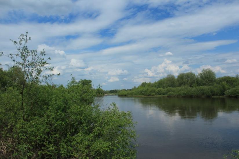 Березне з panoramio.com - Березное