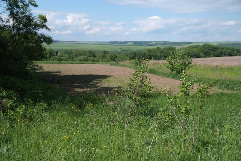 Слобідка-Шелехівська з panoramio.com - Слобідка-Шелехівська