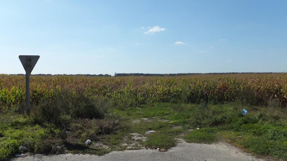Гора з panoramio.com - Гора