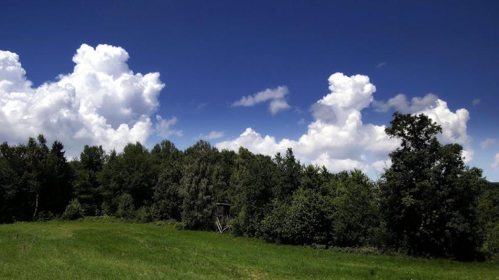 Забрідь з panoramio.com - Zabrid