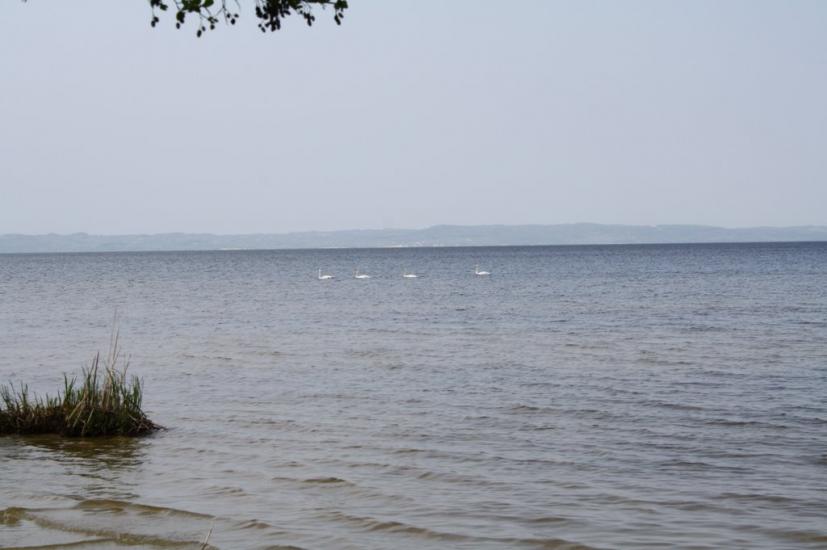 Хоцьки з panoramio.com - Хоцьки