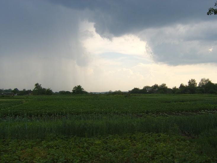 Стеблів з panoramio.com - Стеблев