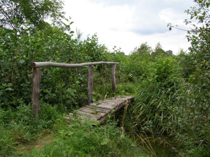 Добротвір з panoramio.com - Добротвор