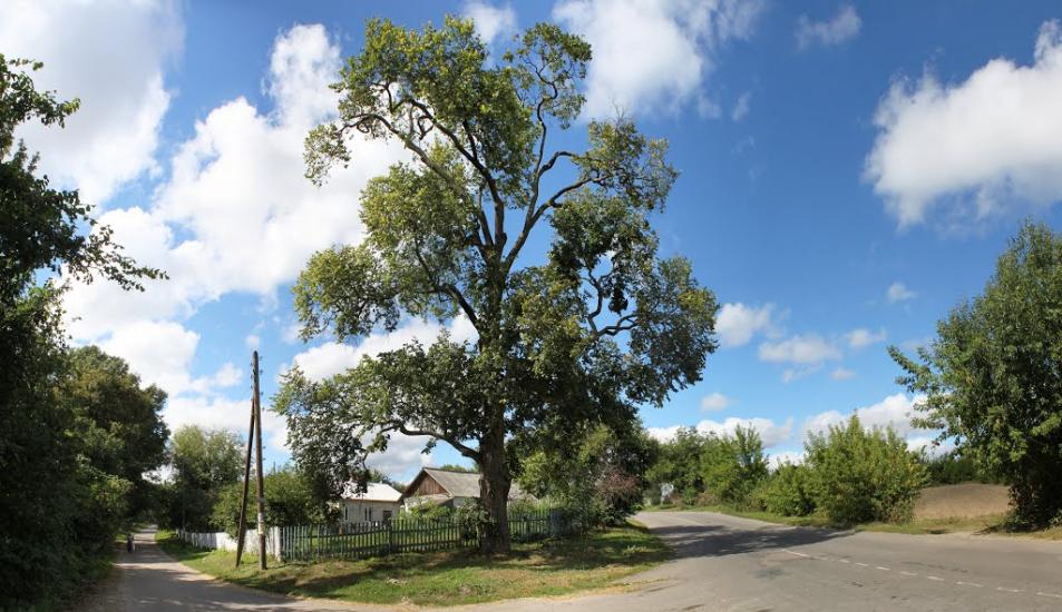 Воскодави з panoramio.com - Воскодави