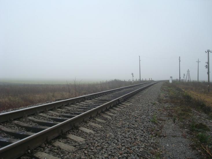 Соколівка з panoramio.com - Соколовка