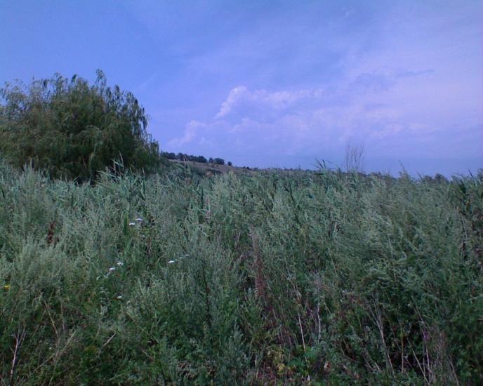 Спаське з panoramio.com - Спасское