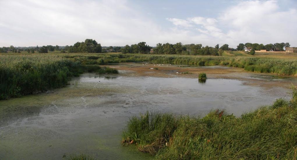 Дмитрівка з panoramio.com - Дмитровка