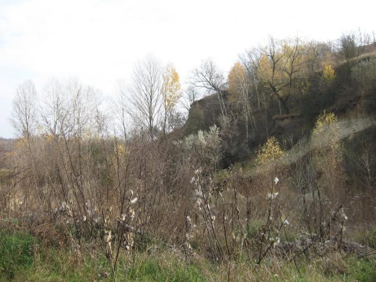 Нечаївка з panoramio.com - Нечаевка