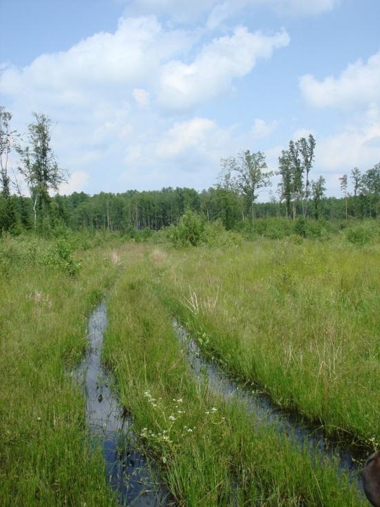 Хрипськ з panoramio.com - Хрипск